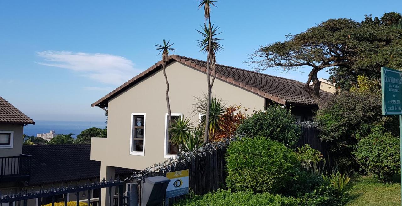 Crooked Tree Cottage Durban Eksteriør billede